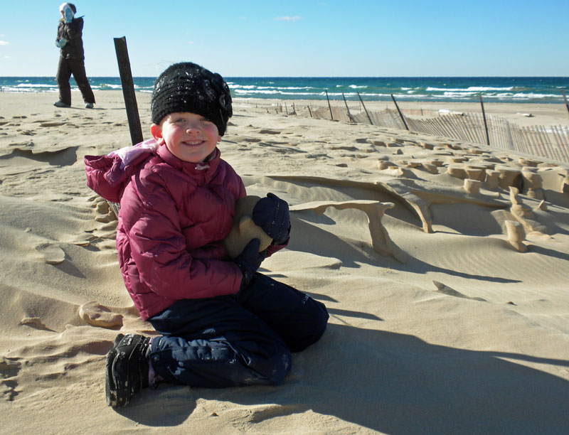 beach-ludington-state-park