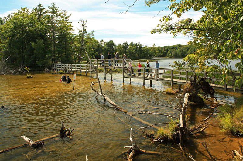 22-bridge-lost-lake-trail