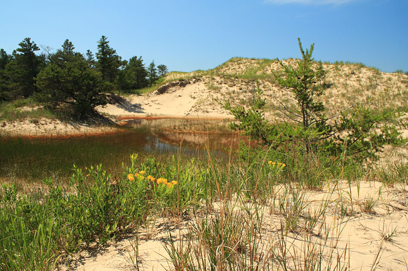 13-interdunal-ponds-lighthouse-trail-ludington