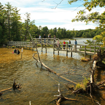 Lost Lake and Island Trail – Hiking Ludington State Park