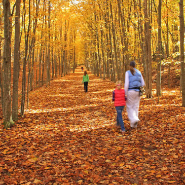 Sleeping Bear Dunes National Lakeshore – Fall Camping