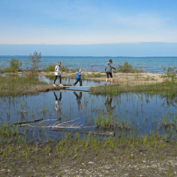 Antrim Creek Natural Area Hiking