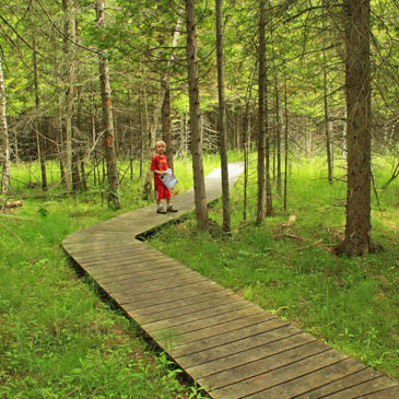 Thorne Swift Nature Preserve Hike