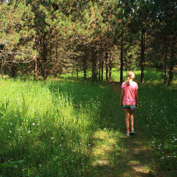 The Hill Nature Preserve Hike